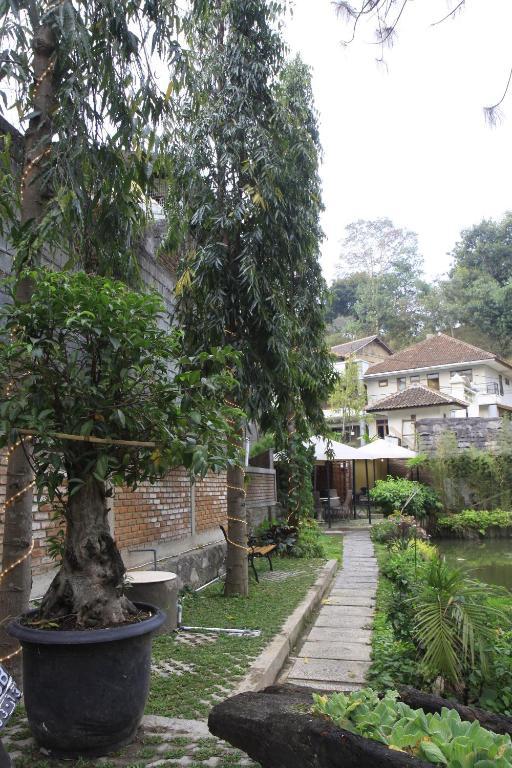 Hotel Lotus 2*