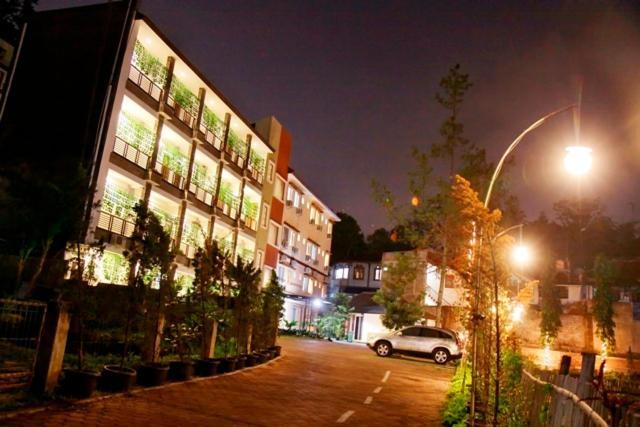 Lotus Hotel 2*